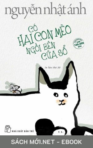 Có Hai Con Mèo Ngồi Bên Cửa Sổ